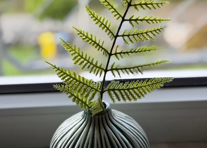 Appartement Landliebe Nummer 10 *